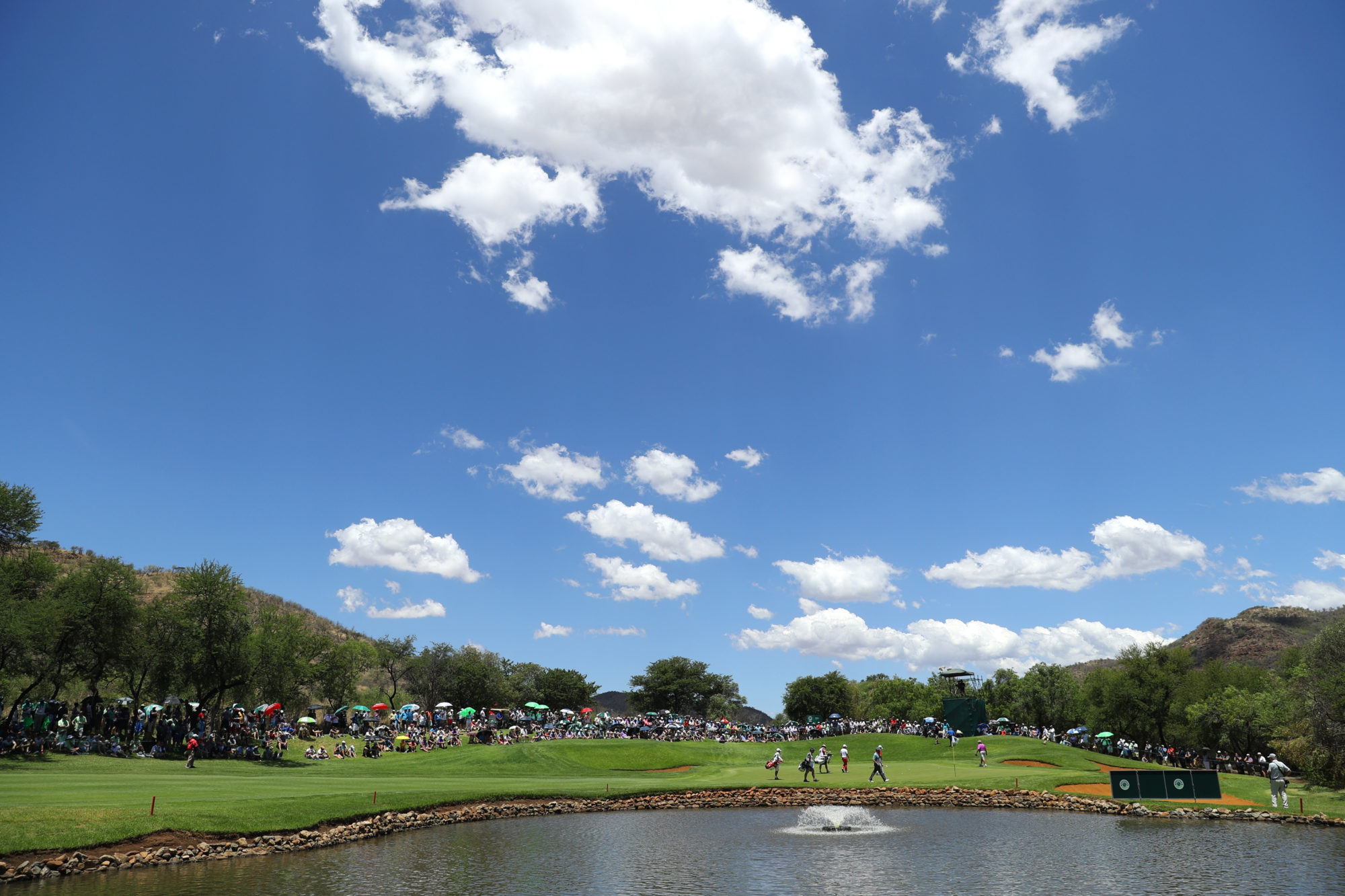 Nedbank Golf Challenge - Day Four