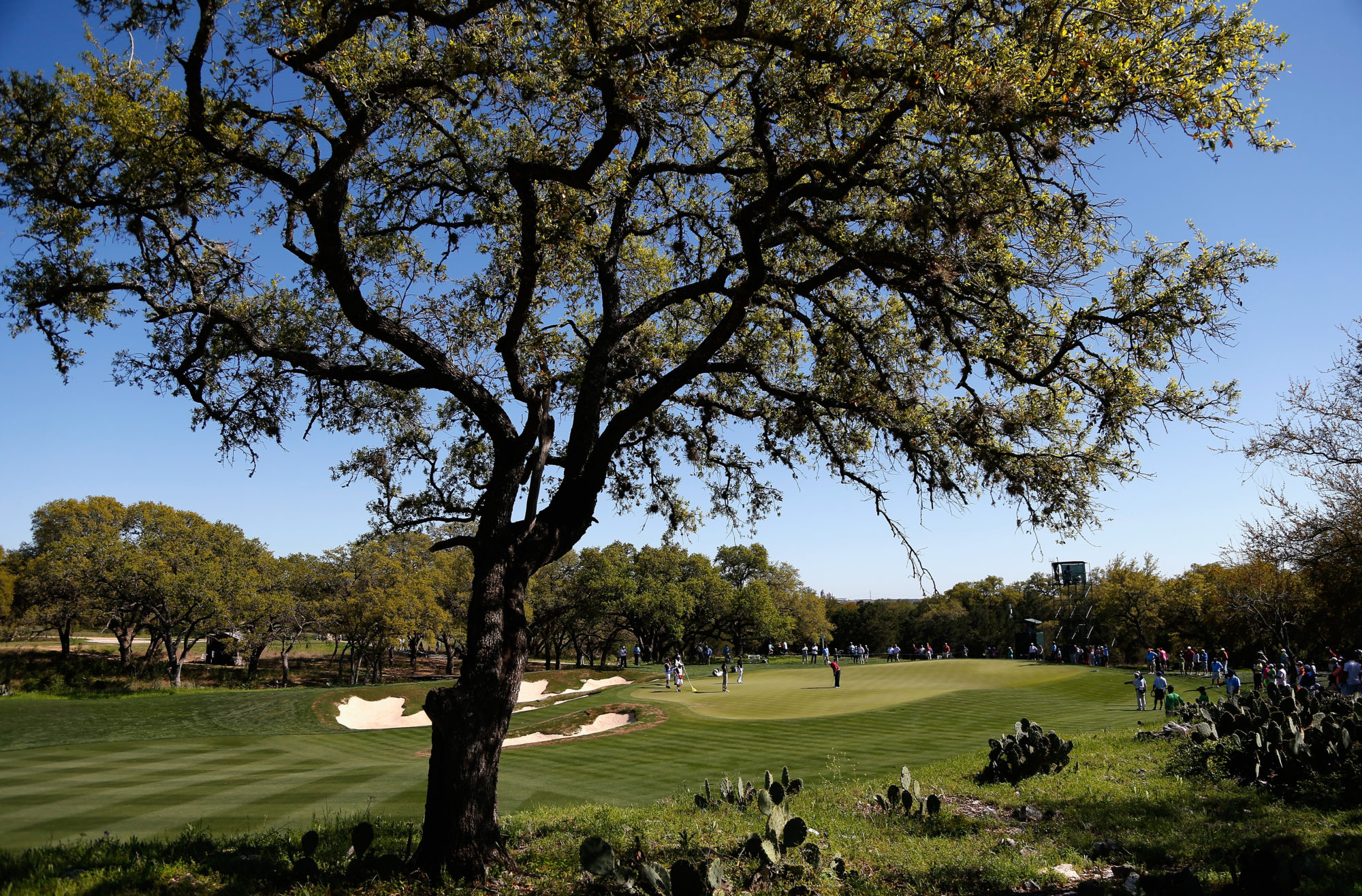 Valero Texas Open - Round Two